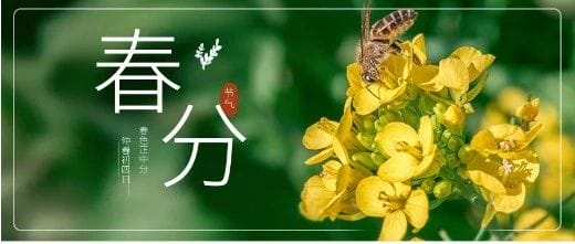 春分节气最佳饮食养生法