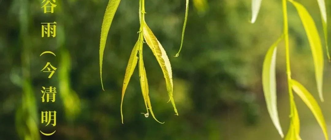 古谷雨（今清明）节气道医的正善治养生法
