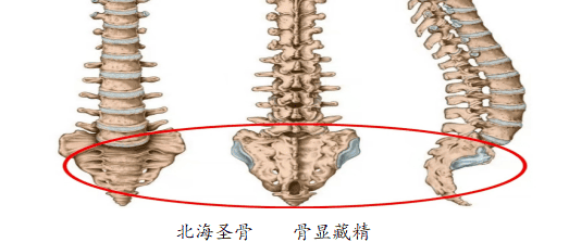 《人法地漏尽通揭秘》修习辅导|《德道行天下》