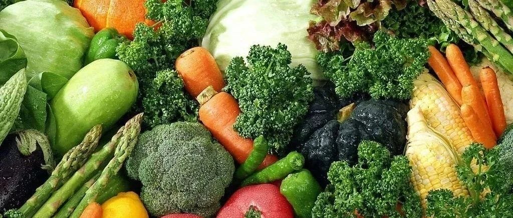 我们应该如何正确看待素食这个问题？！